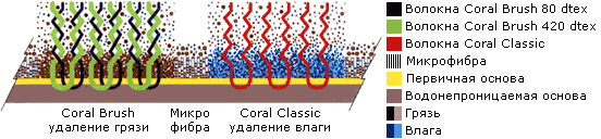 Структура Coral Duo